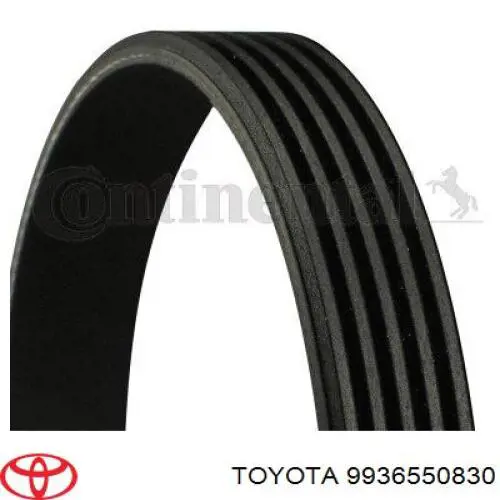 9936550830 Toyota correa trapezoidal