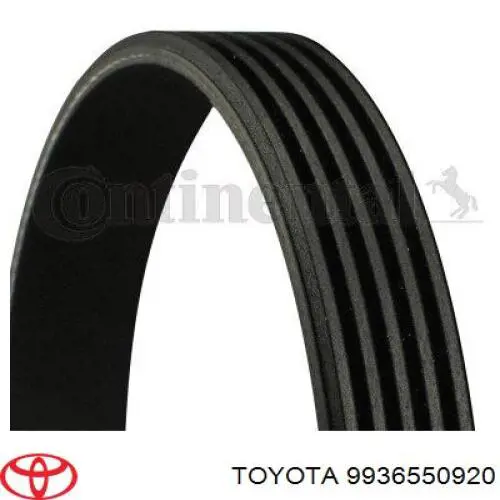 9936550920 Toyota correa trapezoidal