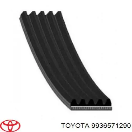 9936571290 Toyota correa trapezoidal