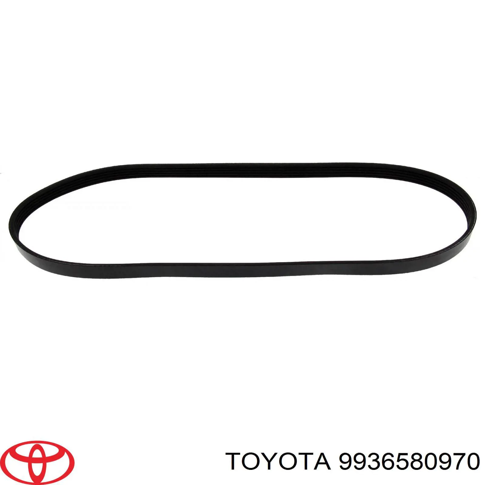 9936580970 Toyota correa trapezoidal