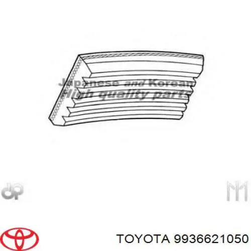 9936621050 Toyota correa trapezoidal