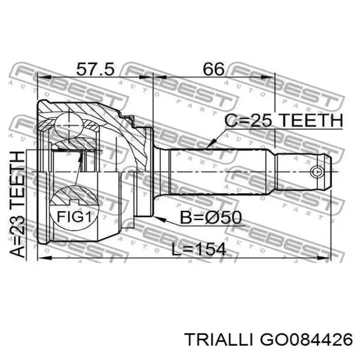 GO084426 Trialli junta homocinética exterior delantera derecha