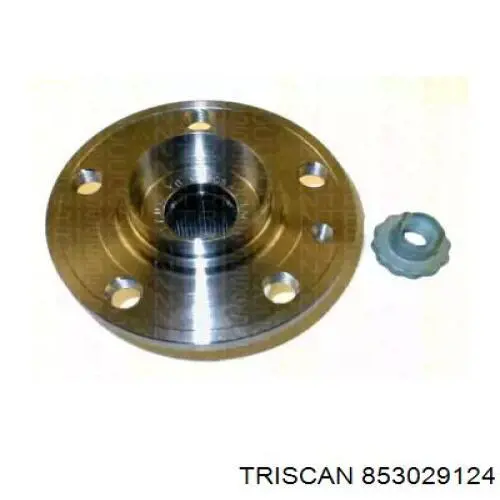 853029124 Triscan cubo de rueda delantero