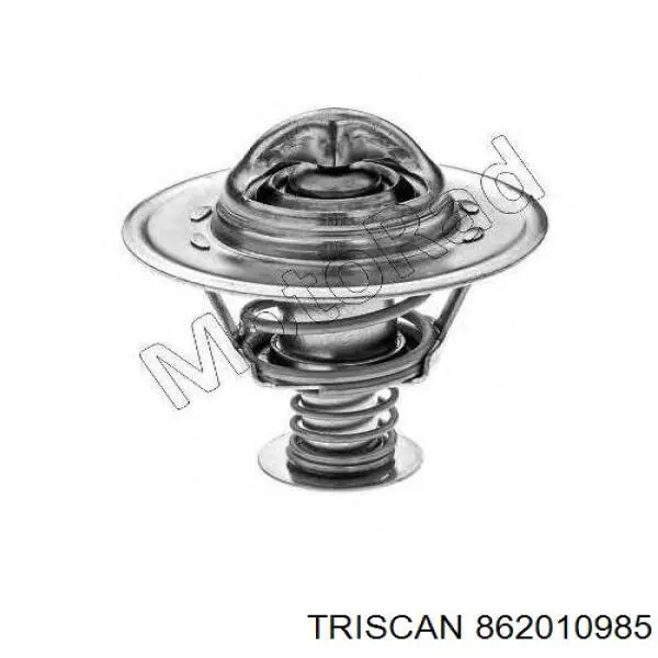 862010985 Triscan termostato, refrigerante