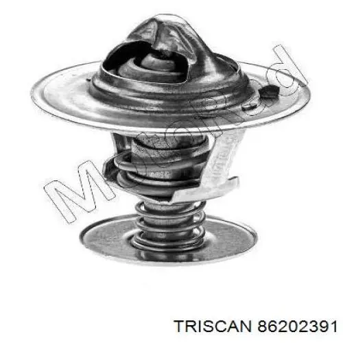  Termostato, refrigerante para Opel Senator 29