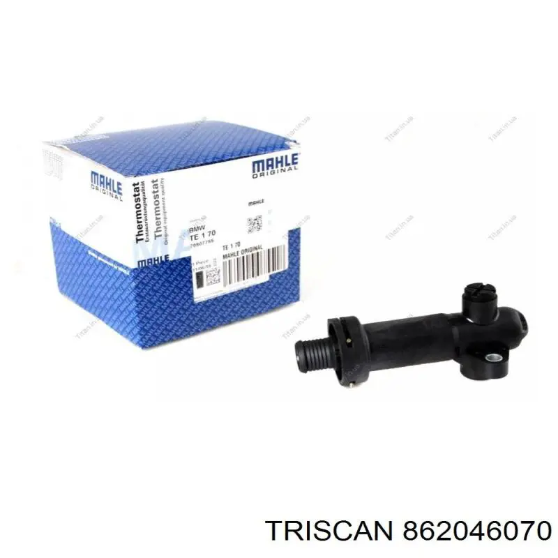 862046070 Triscan termostato egr