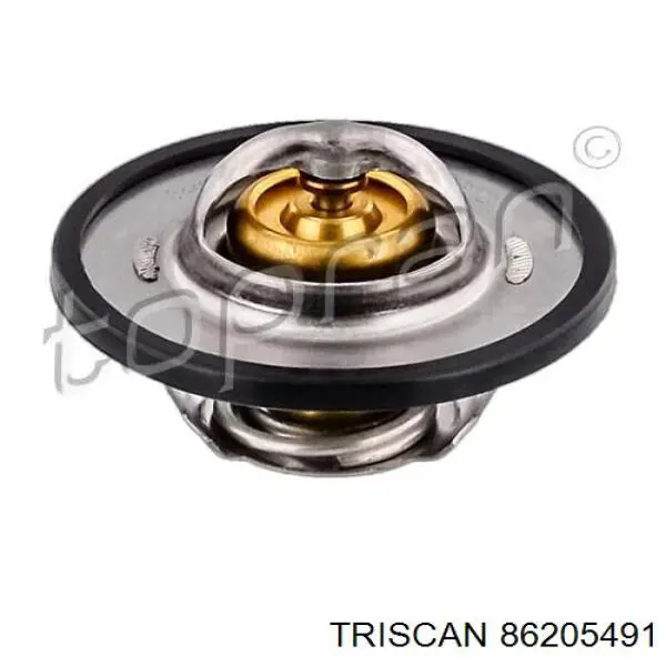 86205491 Triscan termostato, refrigerante