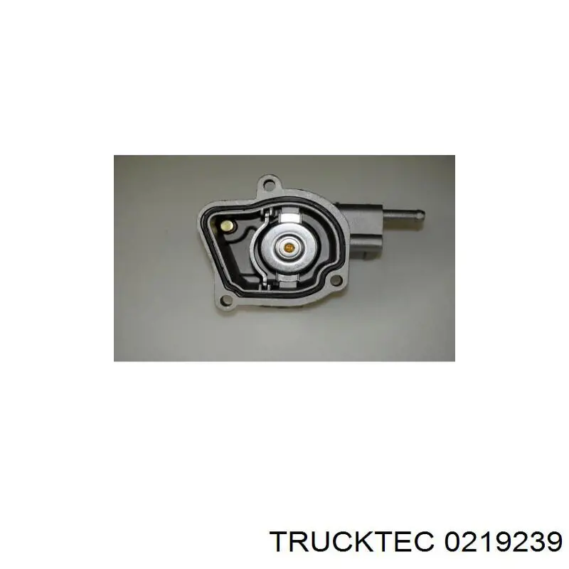 02.19.239 Trucktec termostato, refrigerante