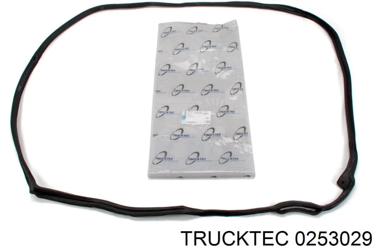 0253029 Trucktec 