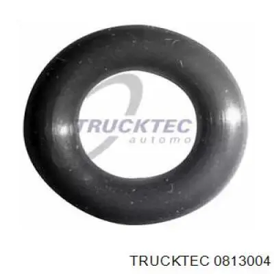 08.13.004 Trucktec junta anular, inyector