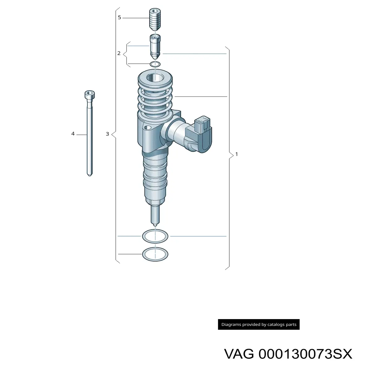 000130073SX VAG portainyector