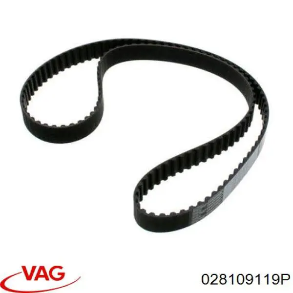 028109119P VAG correa distribucion