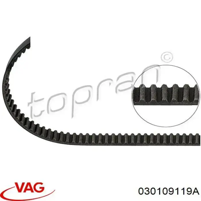 030109119A VAG correa distribucion