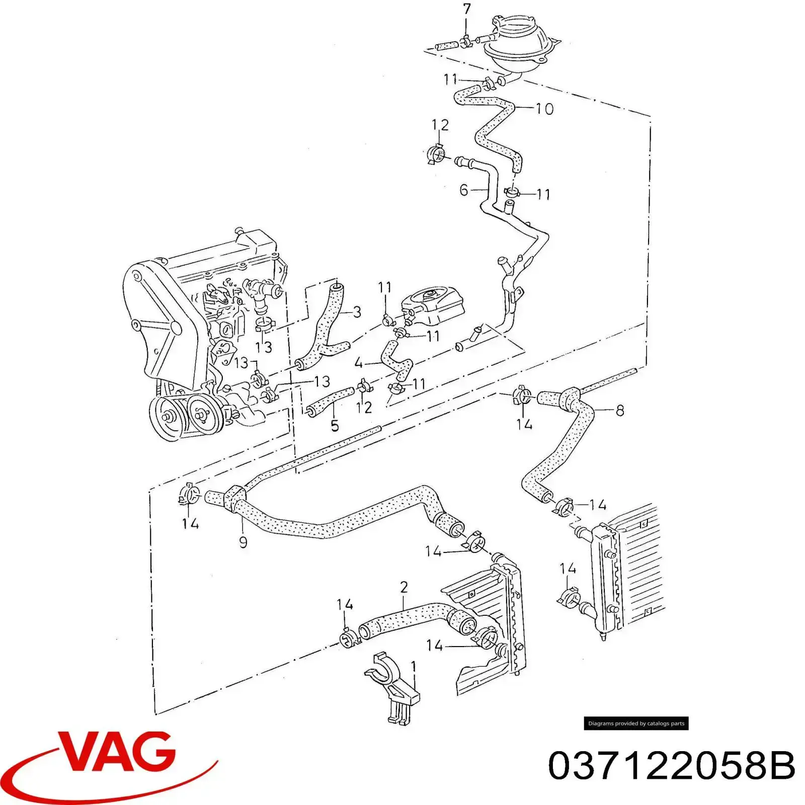 037122058B VAG manguera (conducto del sistema de refrigeración)