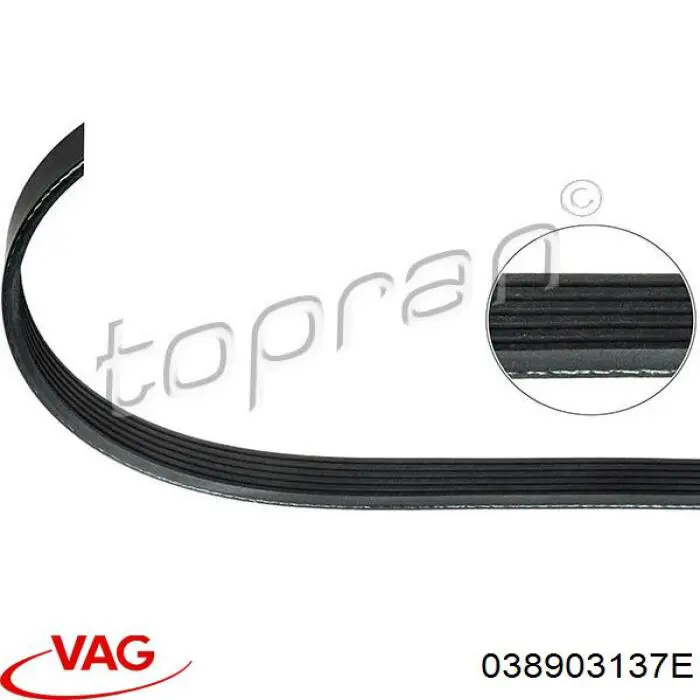 038903137E VAG correa trapezoidal