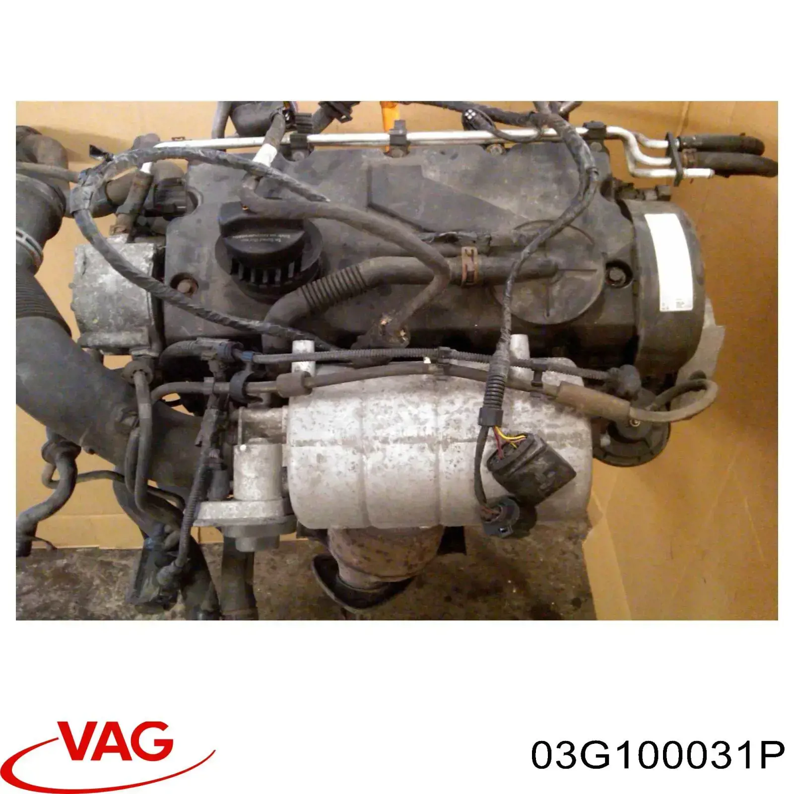 03G100031P VAG motor completo