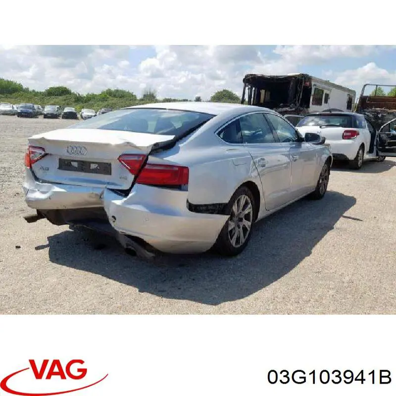 03G103941B VAG 