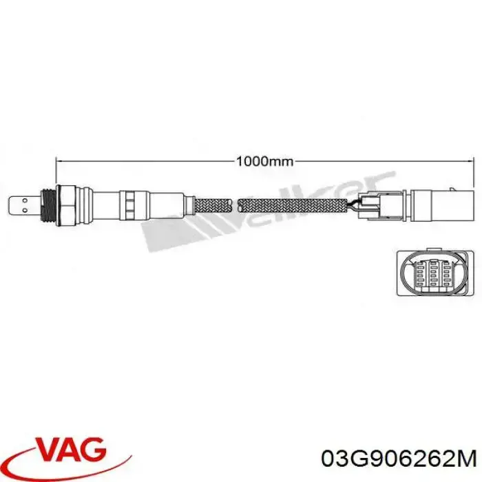 03G906262M VAG 