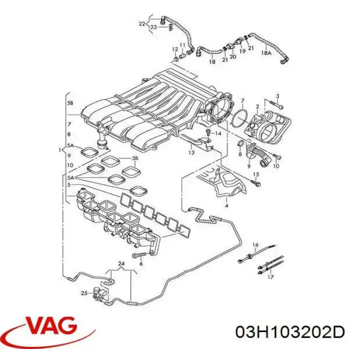  Tubo De Ventilacion Del Carter (Separador de Aceite) para Volkswagen Phaeton 1 