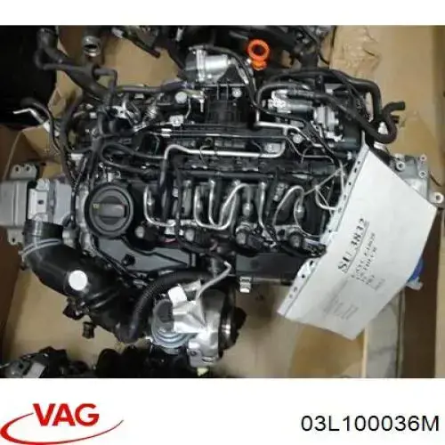 03L100090PV VAG motor completo