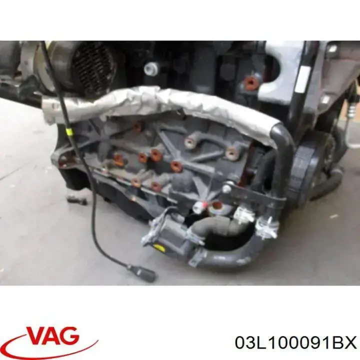 03L100091BX VAG motor completo