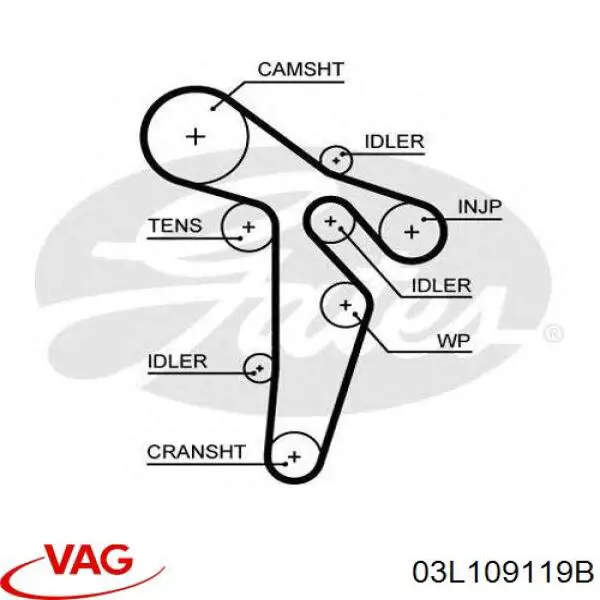 03L109119B VAG correa distribucion