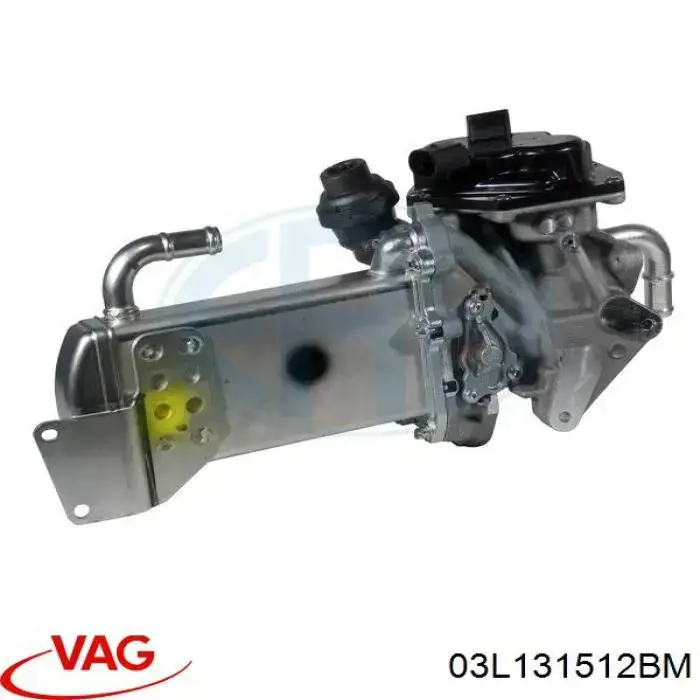 03L131512BM VAG enfriador egr de recirculación de gases de escape