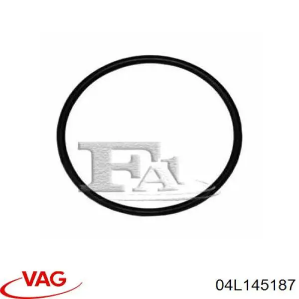 04L145187 VAG 