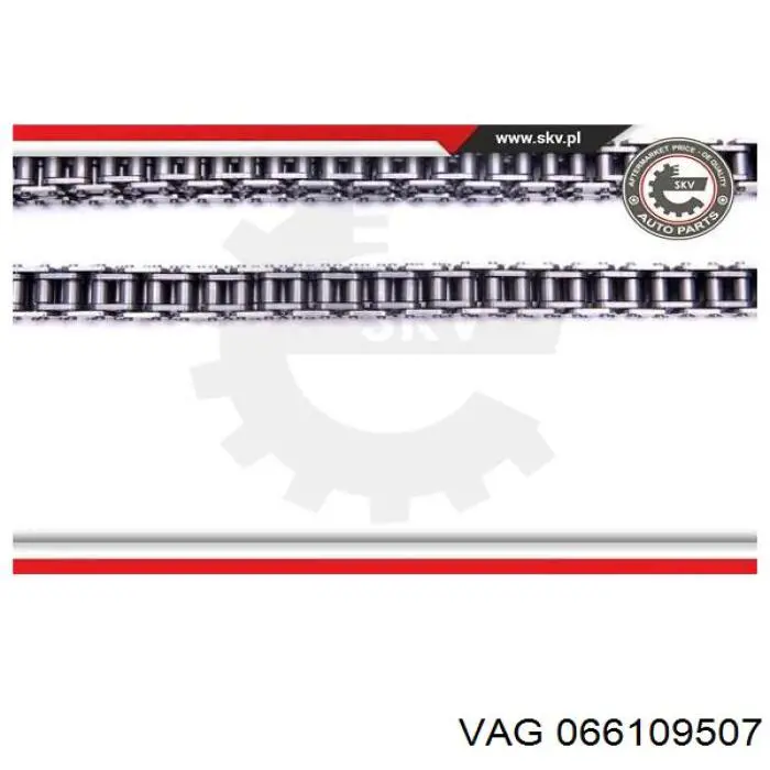 066109507 VAG tensor, cadena de distribución