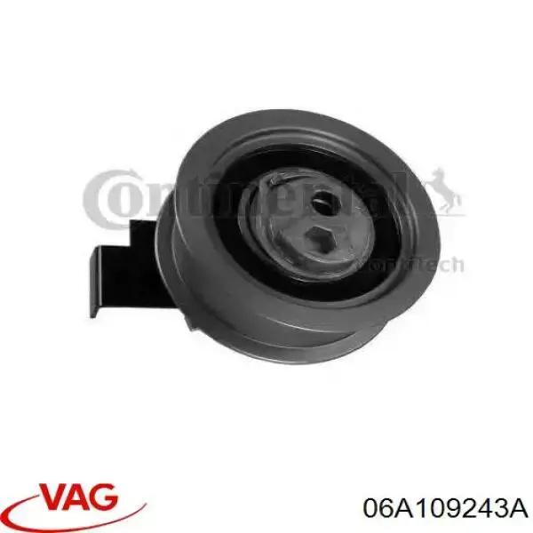 06A109243A VAG rodillo, cadena de distribución