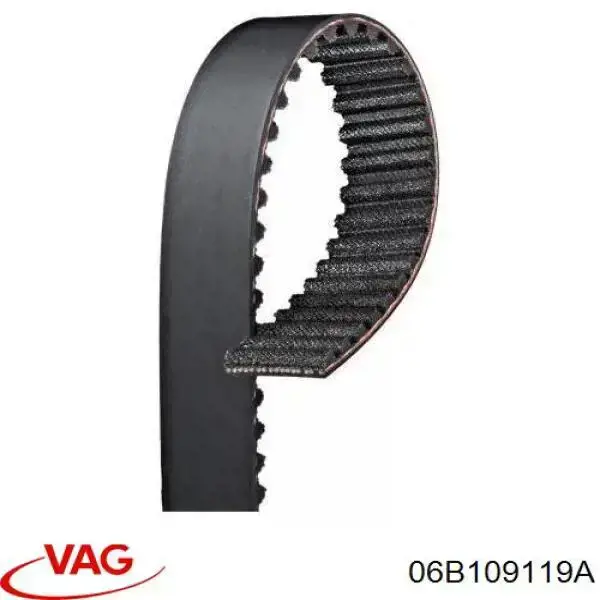 06B109119A VAG correa distribucion