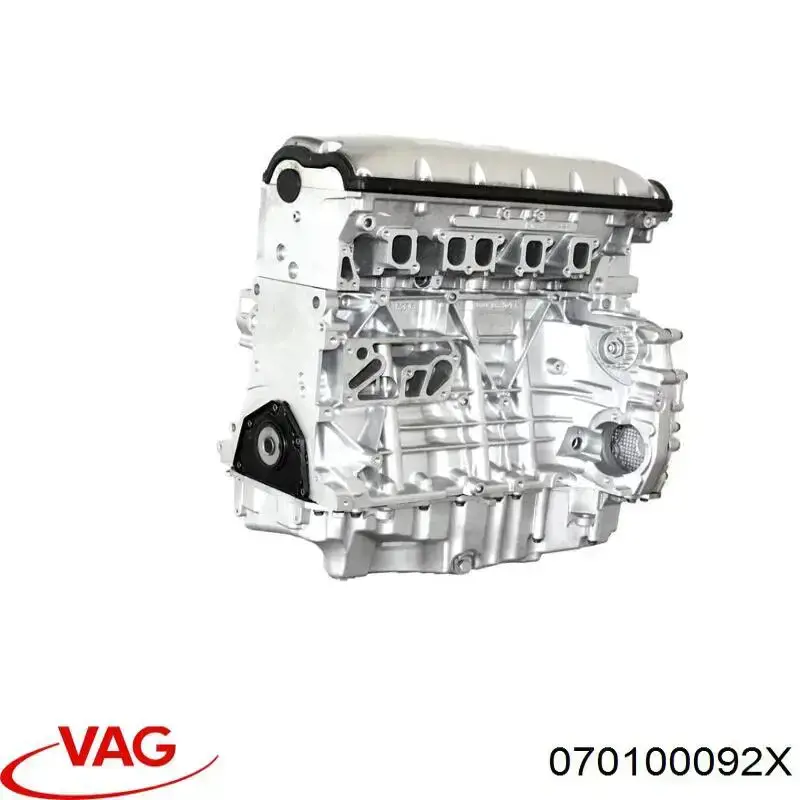 070100092X VAG motor completo