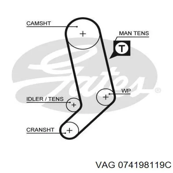 074198119C VAG kit correa de distribución