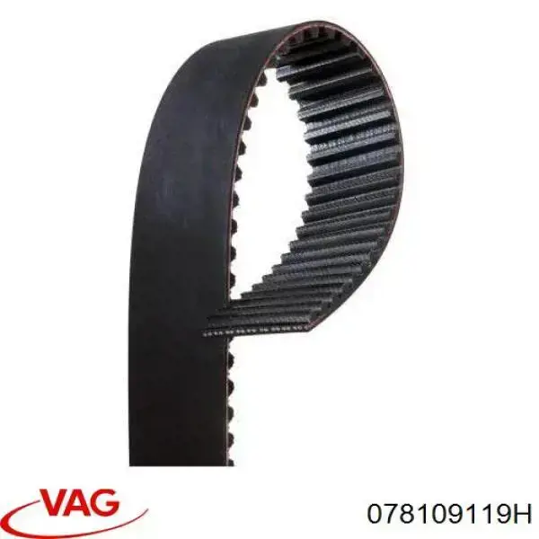 078109119H VAG correa distribucion