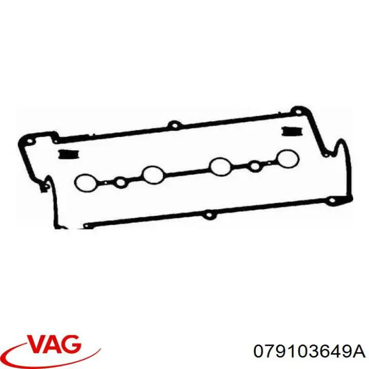 79103649C VAG junta anular, cavidad bujía