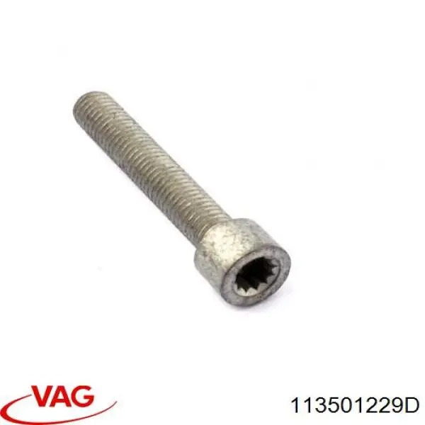 113501229D VAG tornillo (tuerca de sujeción)