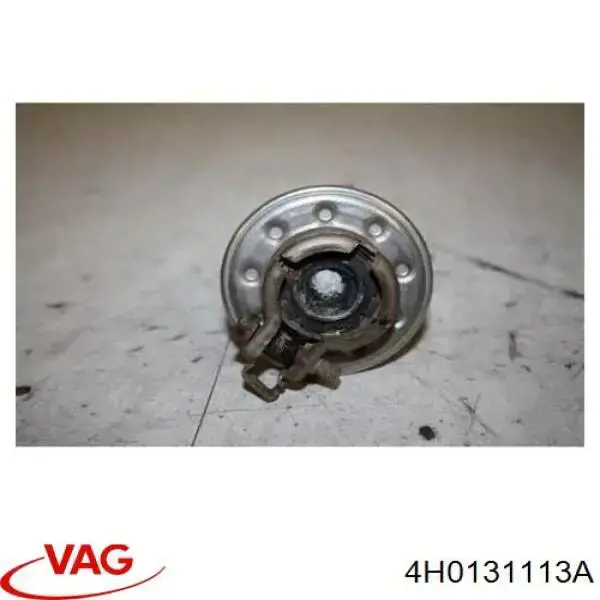 4H0131113A VAG inyector adblue