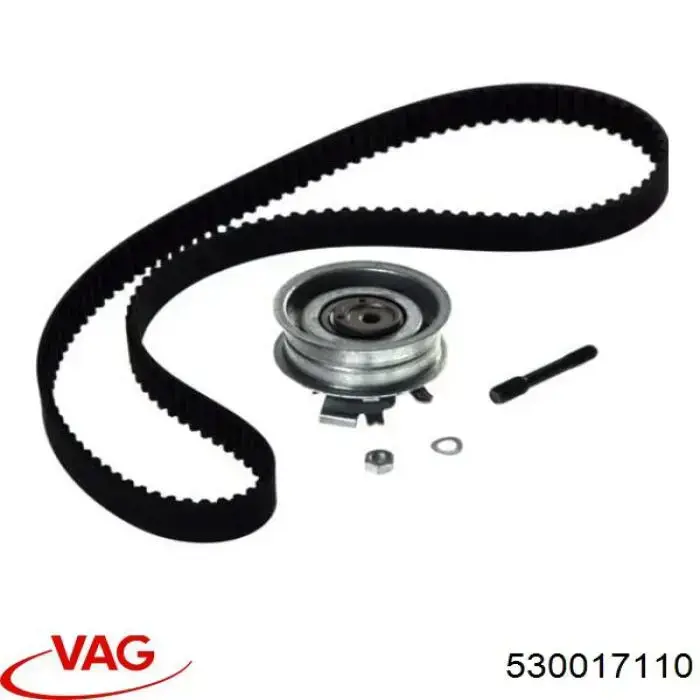 530 0171 10 VAG kit correa de distribución