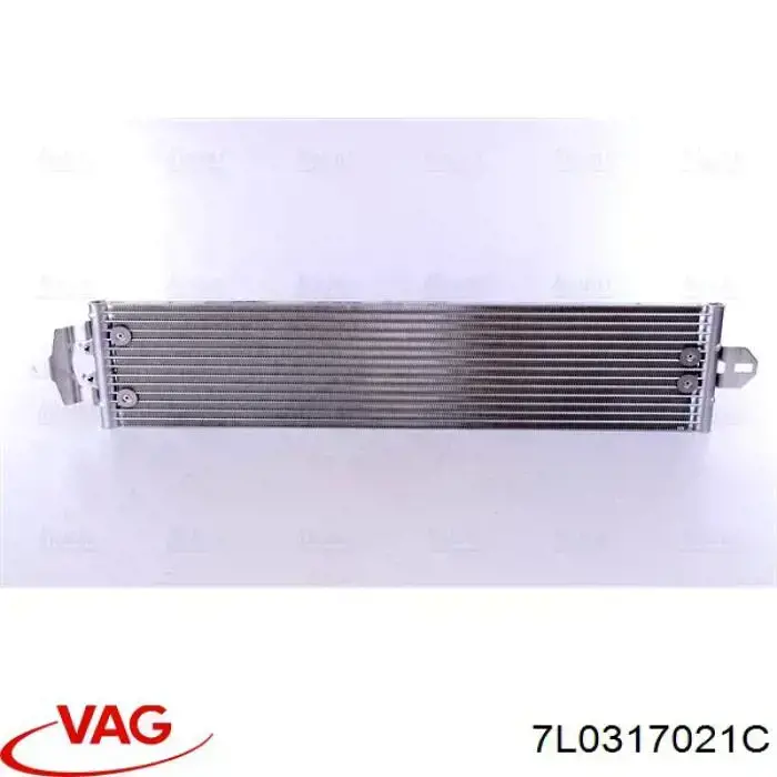 7L0317021C VAG radiador enfriador de la transmision/caja de cambios