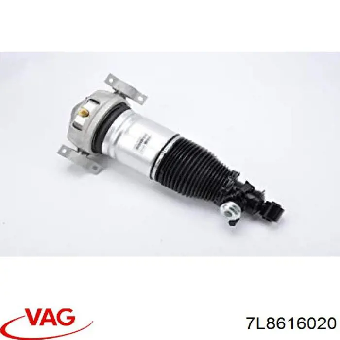 7L8616020 VAG amortiguador trasero derecho