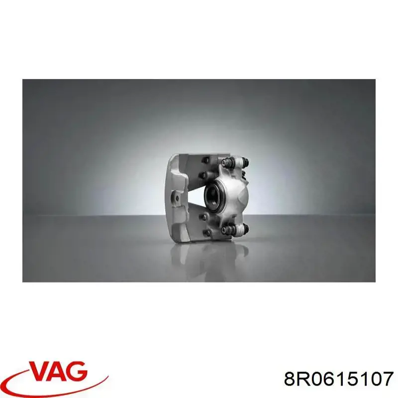 8R0615107 VAG 