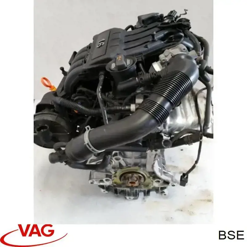 BSE VAG motor completo