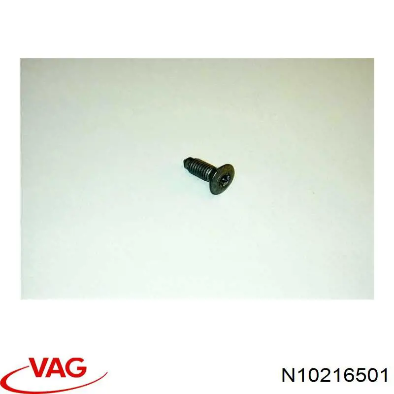 N10216501 VAG 