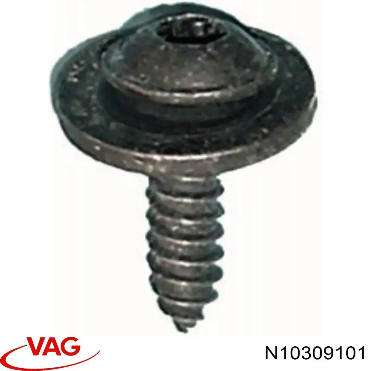 N10309101 VAG 