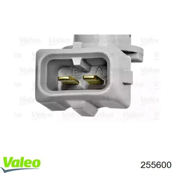 255600 VALEO sensor, temperatura del aire de admisión