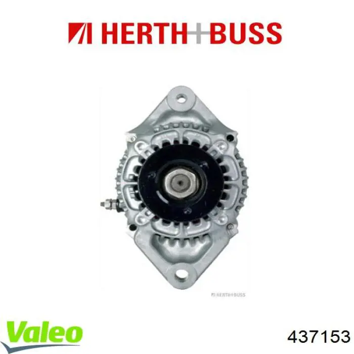 1736964011 Kubota alternador