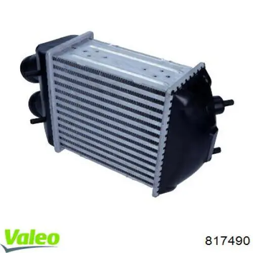  Radiador de aire de admisión para Renault Scenic 1 