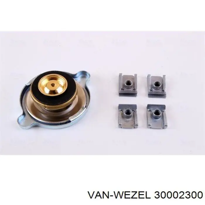 30002300 VAN Wezel radiador refrigeración del motor