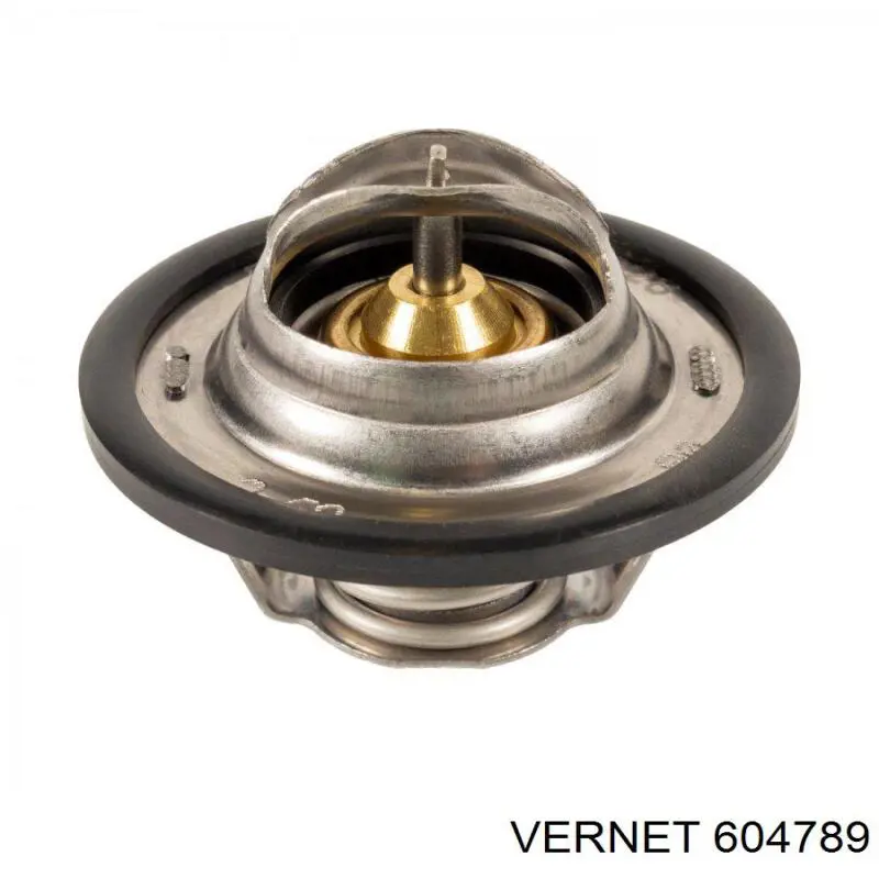 604789 Vernet termostato, refrigerante