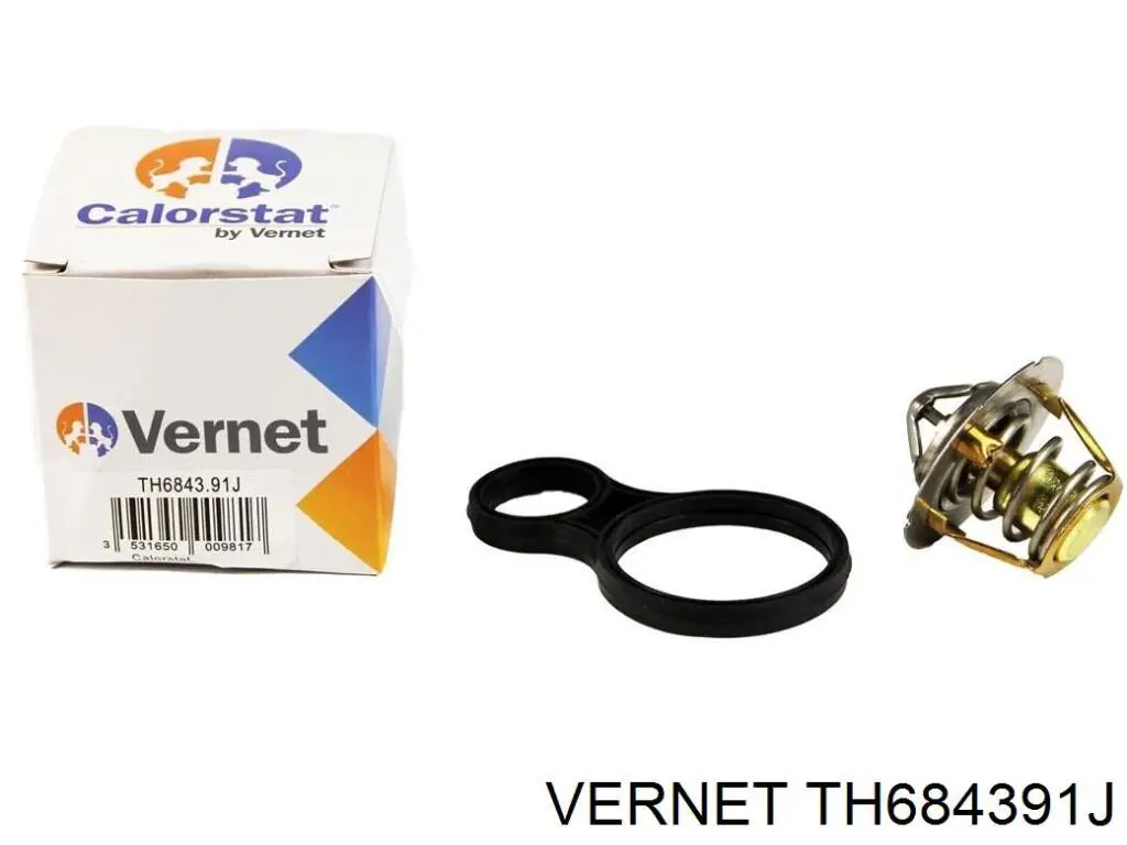 TH6843.91J Vernet termostato, refrigerante